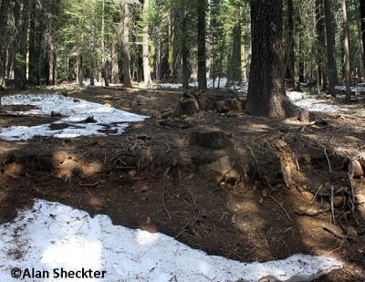 Patches of snow on June 26 along Humboldt Road in Butte County, at about 5,500 feet