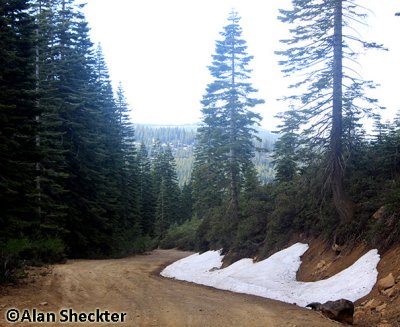 Patches of snow on June 26 along Humboldt Road in Butte County, at about 5,500 feet