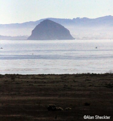 Morro Rock, from Cayucos
