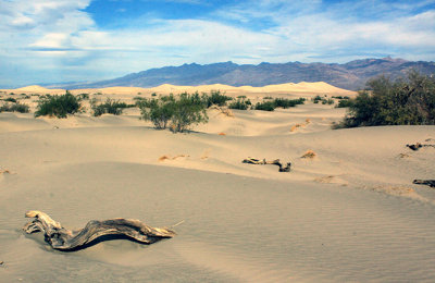 Panamint Sand Dunes