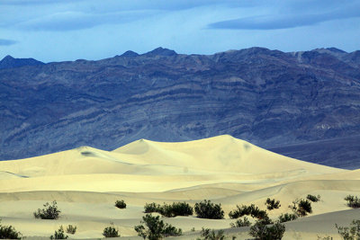 Panamint Sand Dunes