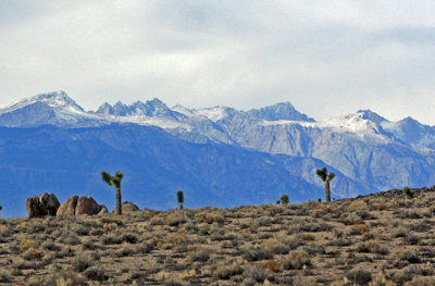 Contrasting terrain - Highway 190, Mt. Whitney area in the background