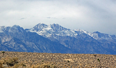 Contrasting terrain - Highway 190, Mt. Whitney area in the background