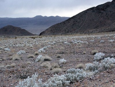  Death Valley