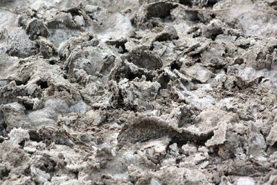 Salt crusts, Badwater Basin