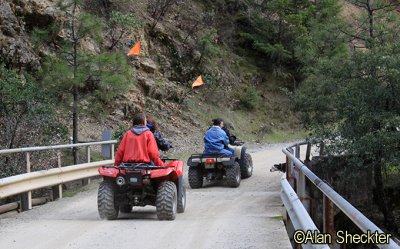 Sharing the road