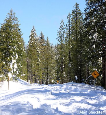 It may now be paved, but The Skyway still goes unplowed between Inskip and Butte Meadows