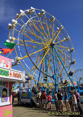 The iconic Ferris Wheel