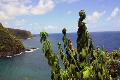 View from Keanae Point