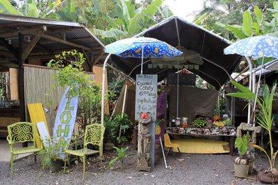 Jungle roadside marketplace, just outside of Hana
