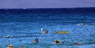 Snorkelers near Black Rock, Kaanapali Beach