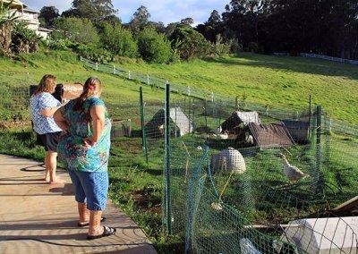 Donna and Martha look at the birds
