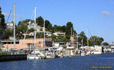 View of the San Rafael canal from behind Terrapin Crossroads
