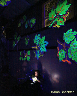 Donna reads by flashlight under blue light leaves, waiting for Brokedown in Bakersfield's late-night set