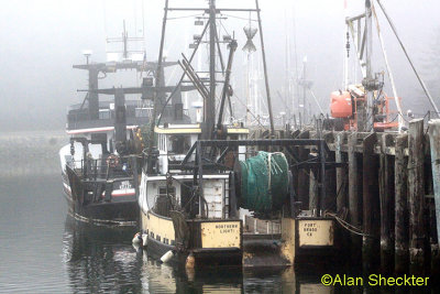 Foggy Noyo Harbor