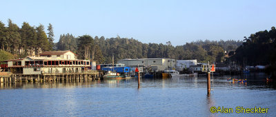 Noyo Harbor  