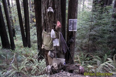 Tribute to fallen local guy, logging road, east of Fort Bragg  