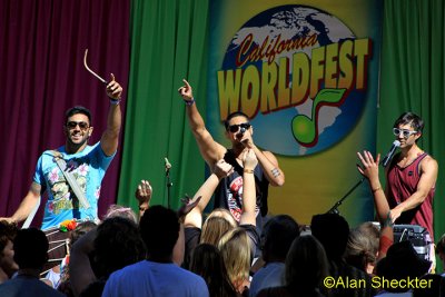 Delhi 2 Dublin - Pine Tree Stage