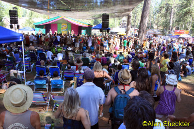 Delhi 2 Dublin - Pine Tree Stage