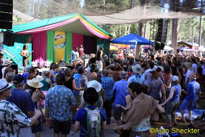 Delhi 2 Dublin - Pine Tree Stage