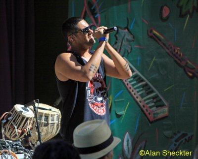 Delhi 2 Dublin - Pine Tree Stage