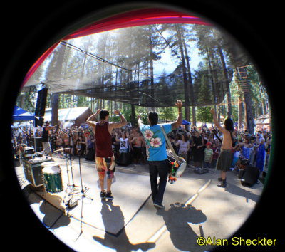 Delhi 2 Dublin - Pine Tree Stage