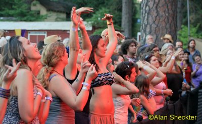 Watching Ani Difranco, Meadow Stage