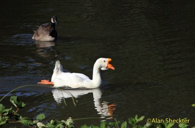 Lott Lake