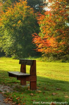 An Autumn Seat.jpg