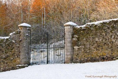 The Gate.jpg