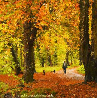 Autumn In Kilkenny.jpg