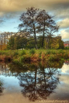 Autumn Reflection.jpg