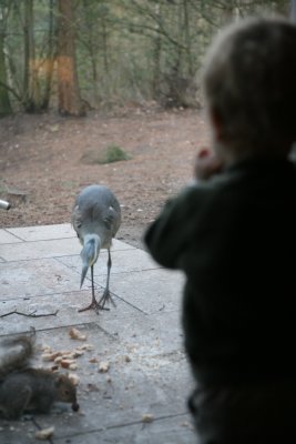 IMG_1893.JPG