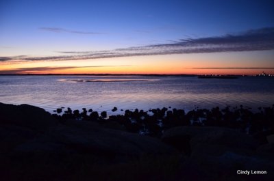Sunrise Over Hecksher Drive