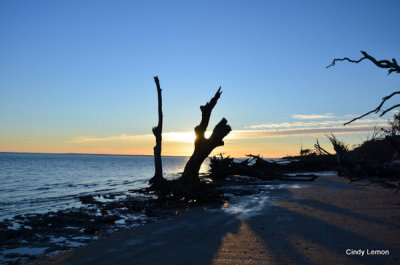 Sunrise on Big Talbot Island