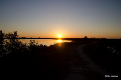 Merritt Island 9