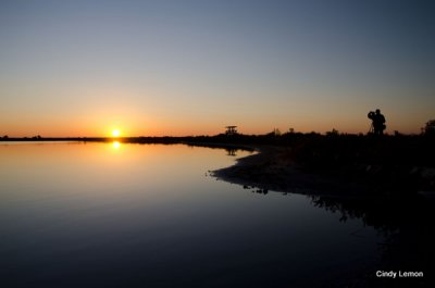 Merritt Island 10