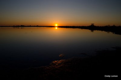 Merritt Island 11