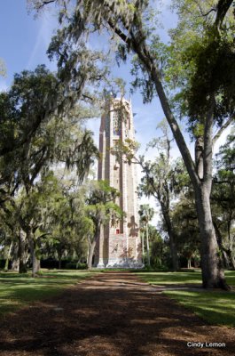 Bok Tower - Carillion Tower