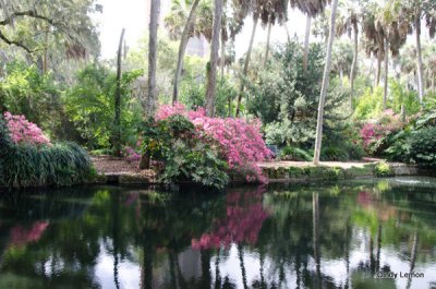 Bok Tower - Reflection Pool 3