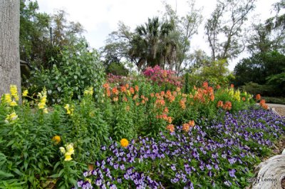 Bok Tower Bed of Flowers