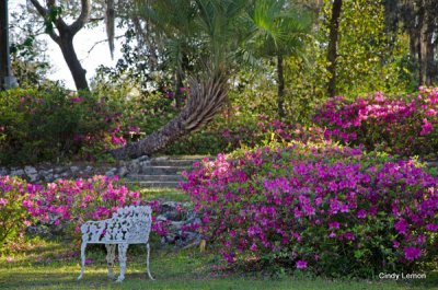 Ravine Gardens Palatka 5