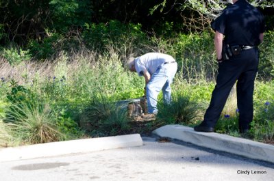 Masked Intruder Released by Sheriff's Office!
