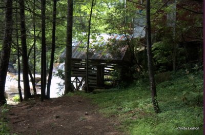 Living Waters