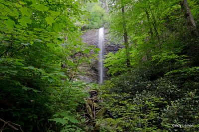 Douglas Falls
