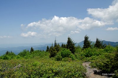Mountain to Sea Trail