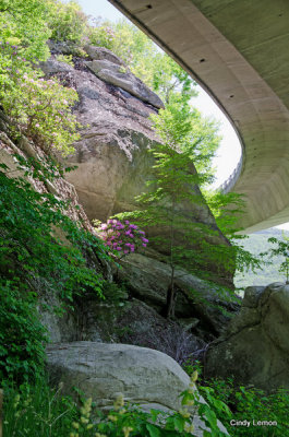 Lynn Cove Viaduct on Blue Ridge Parkway