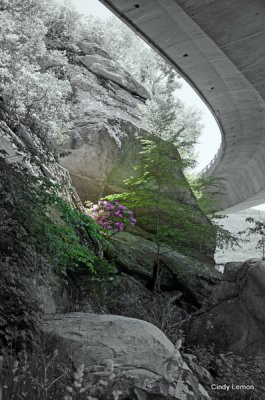 Lynn Cove Viaduct on Blue Ridge Parkway 2