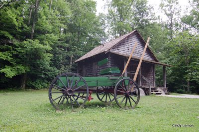 Cradle of Forestry Historic Site at Pisgah National Forest 3