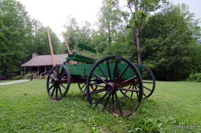 Cradle of Forestry Historic Site at Pisgah National Forest 4